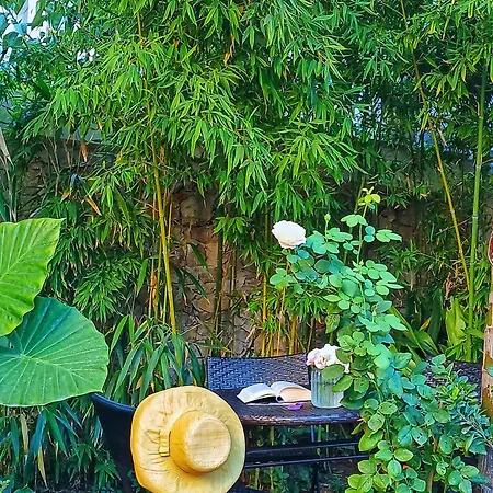 Bed and breakfast Wunderkammer