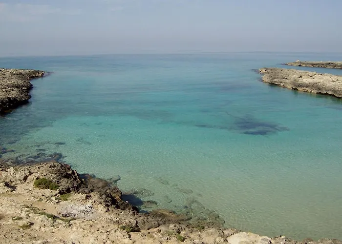 ベッド・アンド・ブレックファスト Wunderkammer 3*