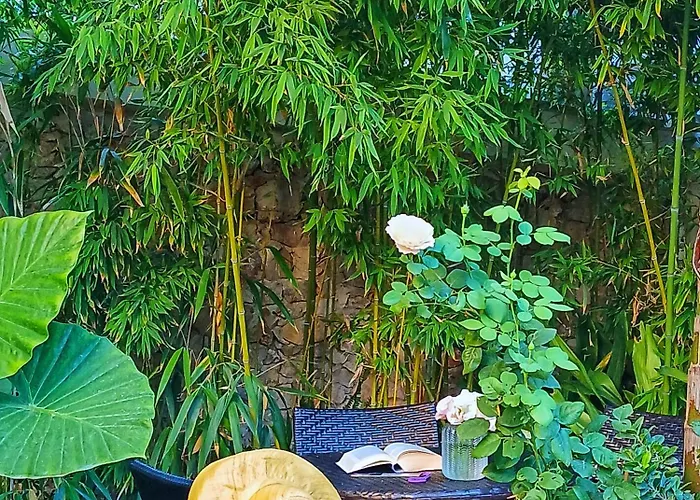 ベッド・アンド・ブレックファスト Wunderkammer