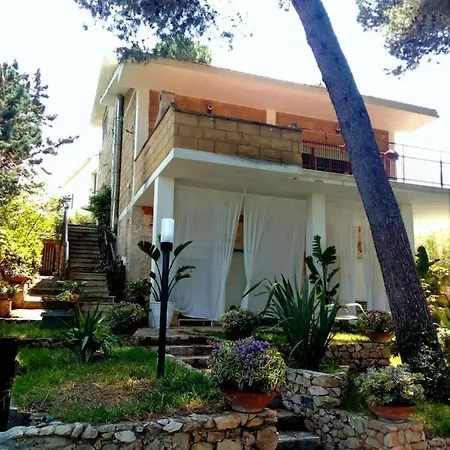 Panzió Wunderkammer