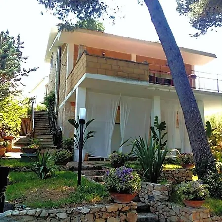Bed and breakfast Wunderkammer 3*